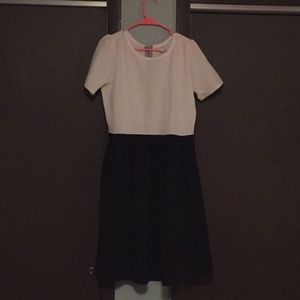 LuLaRoe Black White XL Amelia Dress